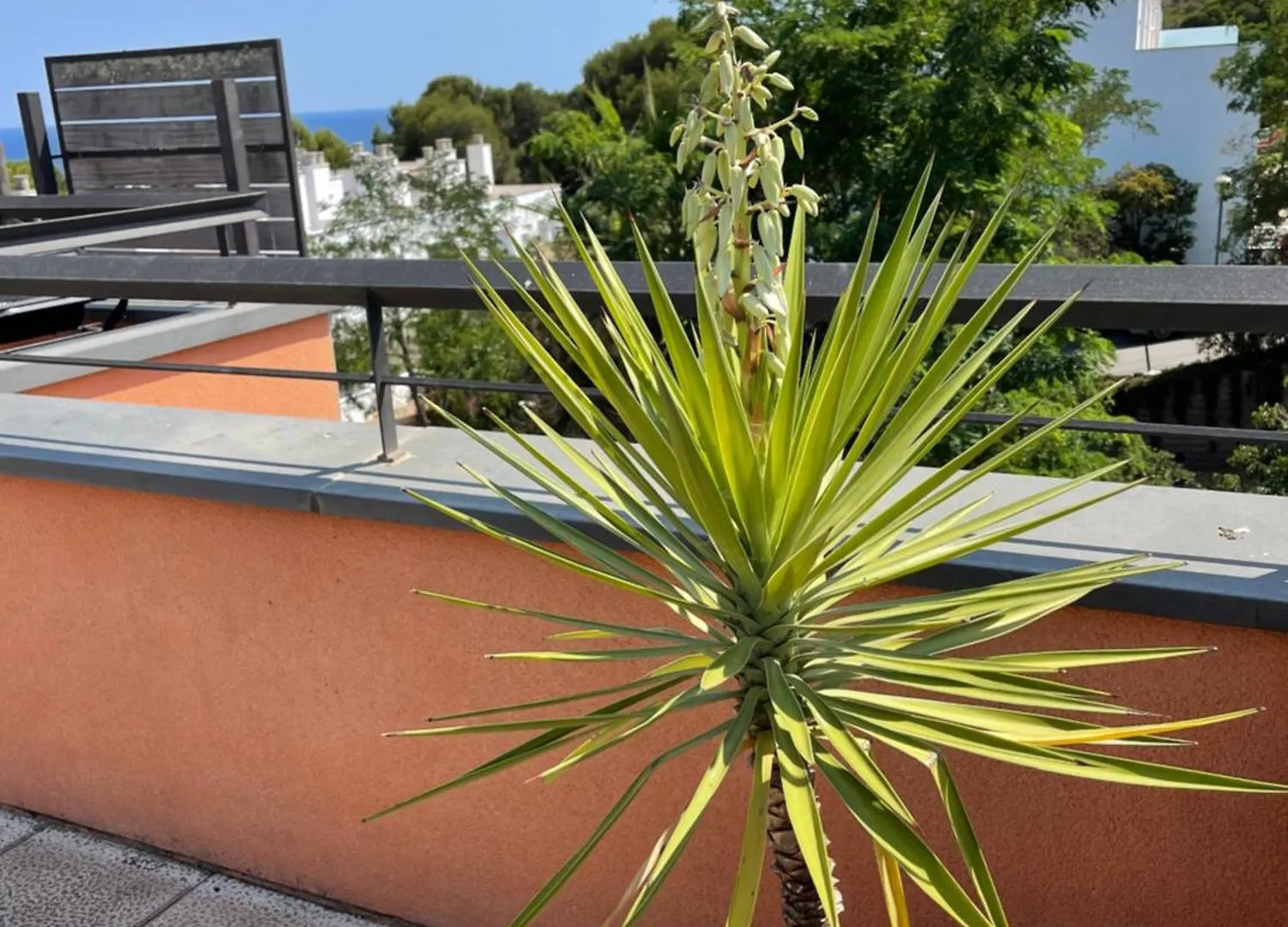 Sunny Apartment Sa Boadella Big Solarium Sea View Lloret de Mar Spain
